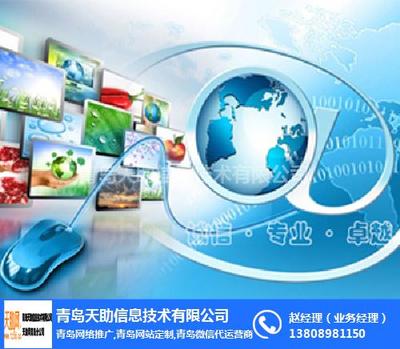 青島易站通價(jià)格解析及天助在線咨詢服務(wù)對比